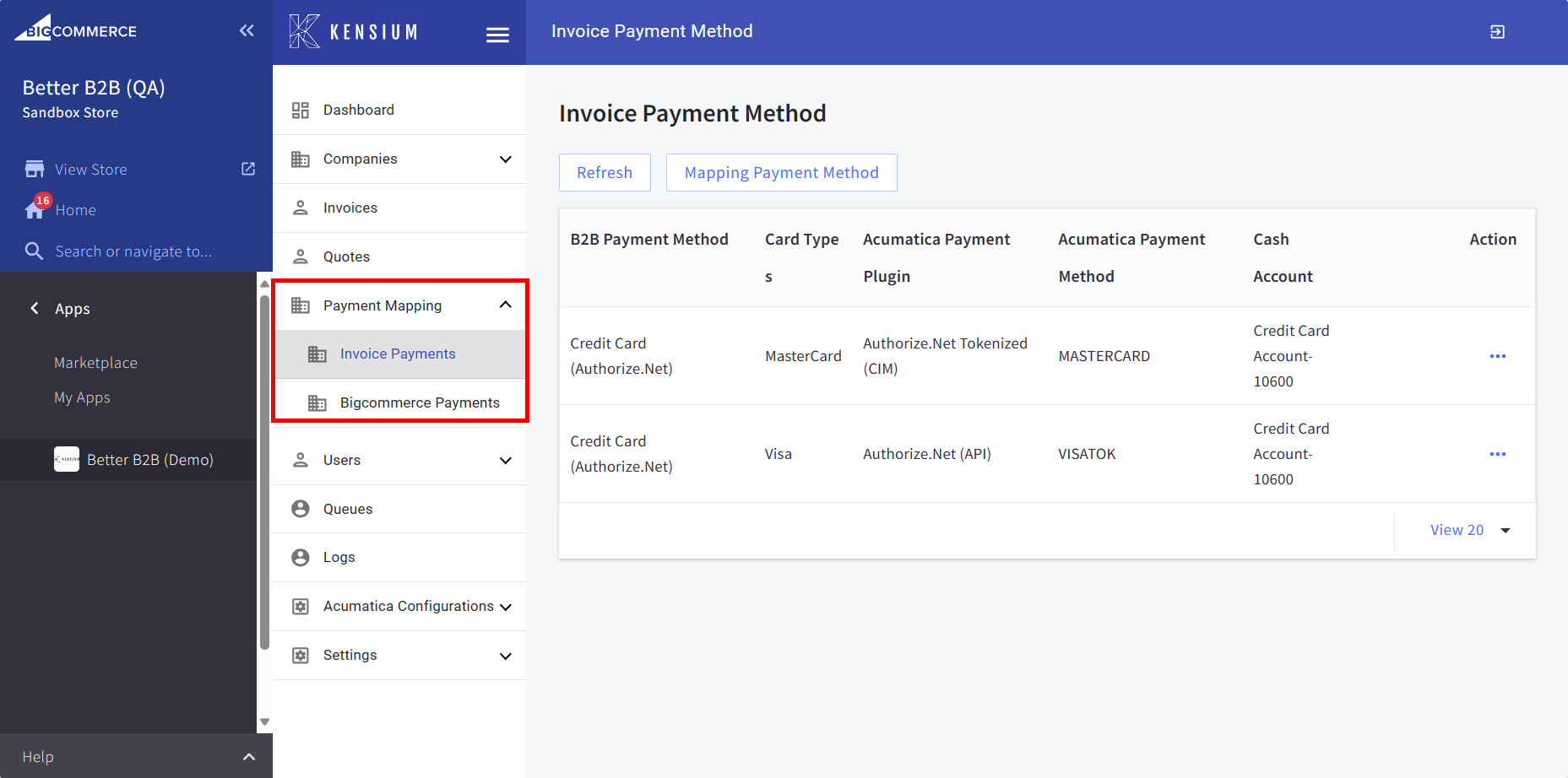 Options available under Payment Mapping
